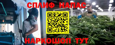 наркотики Дубна