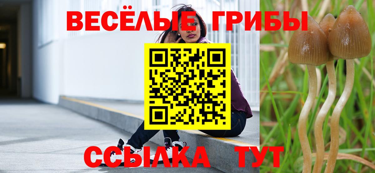 наркота  Галлюциногенные грибы Psilocybe  Вход с VPN  Малоярославец 